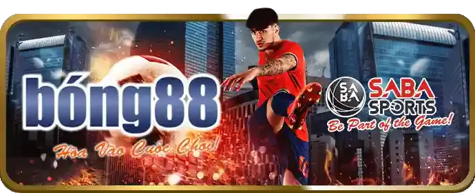 Đá Gà Thomo trực tiếp tại bmwbet